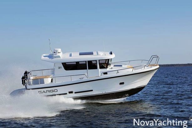 Sargo 31