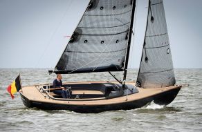 Saffier Se 26 / Sc 8 OPEN CARBON MAST