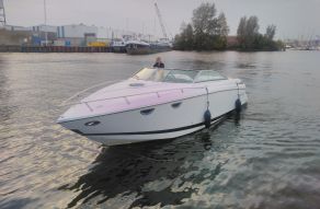 Cobalt 323