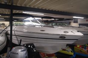Cruisers Sports 258