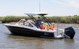Scout 240 Dorado