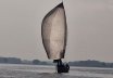 X-Yachts X41