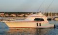 Bertram 54