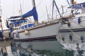 Endurance 37