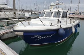 Cygnus Cyclone Patrol 30