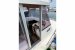 Suncamper 30