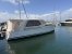 Greenline 33
