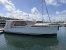 Greenline 33