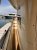 Greenline 33