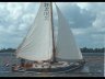 Zeeschouw 10.00 Westerdijk