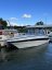 Crownline 315 SCR