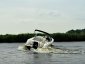 Boston Whaler 230 Vantage