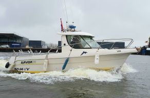 Arvor 20