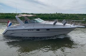 Chaparral 31 Signature