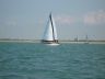 Joubert 38 Chassiron, Franse Polyclassic
