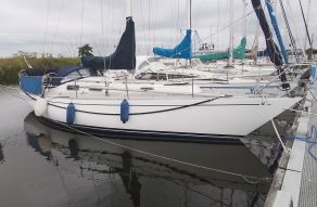 NORLIN 34