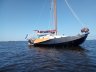 Kok Zeeschouw 7.50