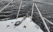 Skorgenes Ardea 32