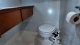 Brandsma Vlet 10.50 AK