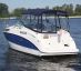 Bayliner 265