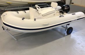 Mercury Ocean Runner