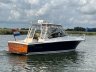 Luhrs 28 Open