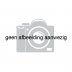 Gillissen Trawler 15.30