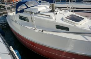 Rebell Seaskip 2