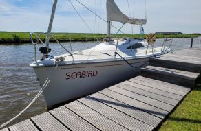 Clever 21 Sportina 600