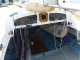 Draak Daysailer