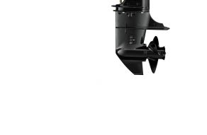 Suzuki DF15ARS