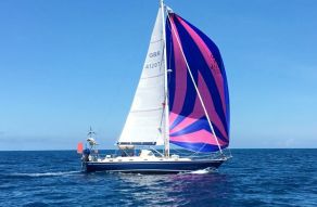 Hylas 44