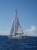 Universal Yachting 49.9