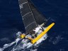 DNA F4 Foiling Cat