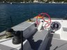 DNA F4 Foiling Cat