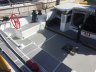 DNA F4 Foiling Cat