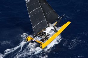 DNA F4 Foiling Cat