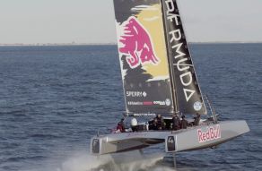 DNA F4 Foiling Cat