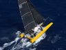 DNA F4 Foiling Cat