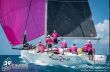 Harley Race Boats Reflex 38