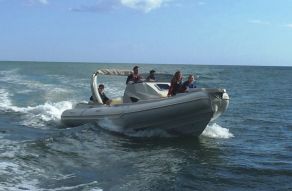 Stingher 29 Zephyr
