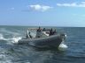 Stingher 29 Zephyr