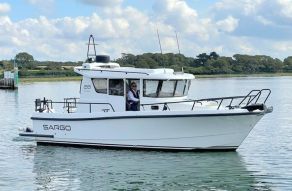 Sargo 28