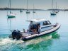 Protector 310 Targa
