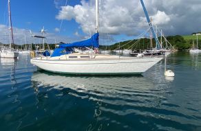 She 36