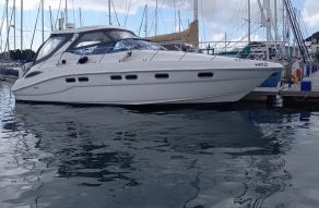 Sealine S43