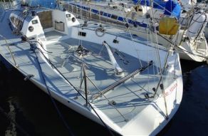 Carroll Marine Mumm 36