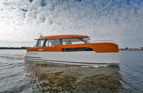 DutchCat Twelve