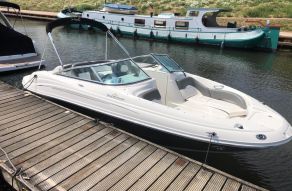 Sea Ray 200 Sundeck (238 Uur)