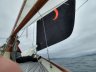 Koopmans Foxx 30 Gaff Gutter